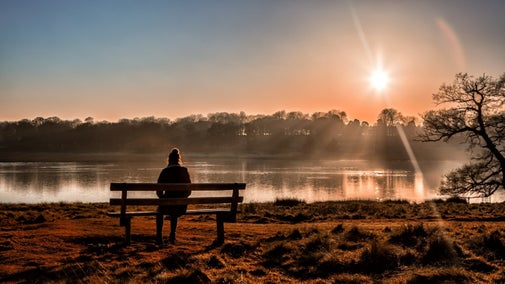 Visitor in the Parkland, Tatton Park, Cheshire